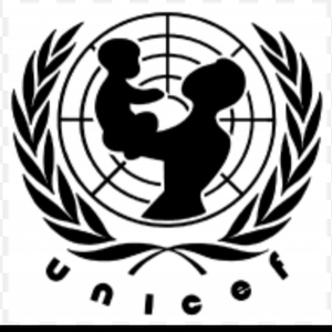 Fundraising Page: UNICEF At GMU